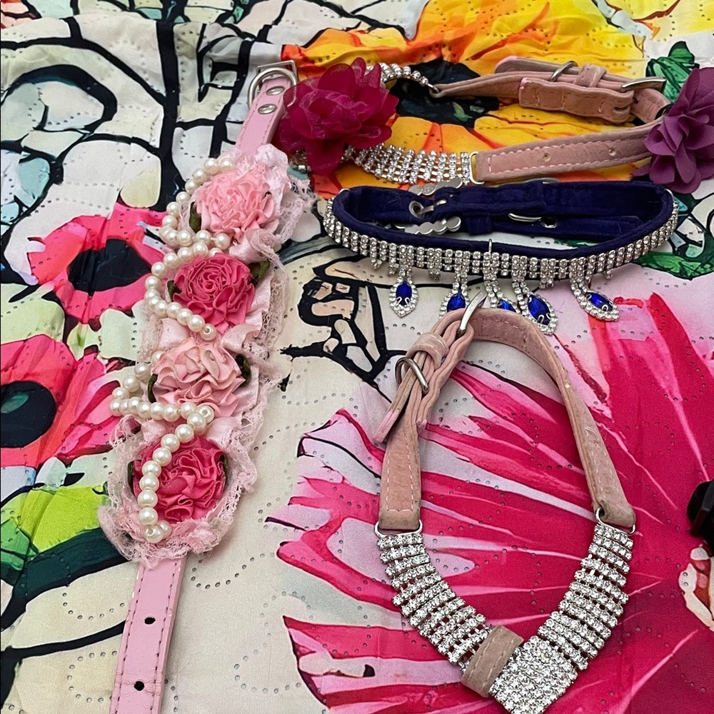 Kitty collars of all colors and sizes!!!